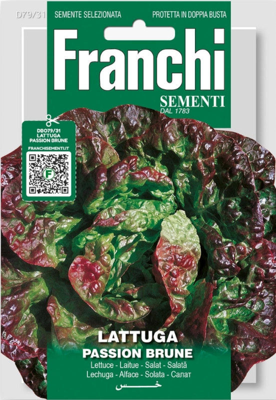 Sałata Passion Brune nasiona do siewu vis 7g FRANCHI sklep rajogrodnika